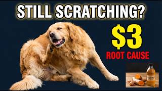 Your Dog's STILL Scratching on Apoquel? The $3 Root Cause Answer