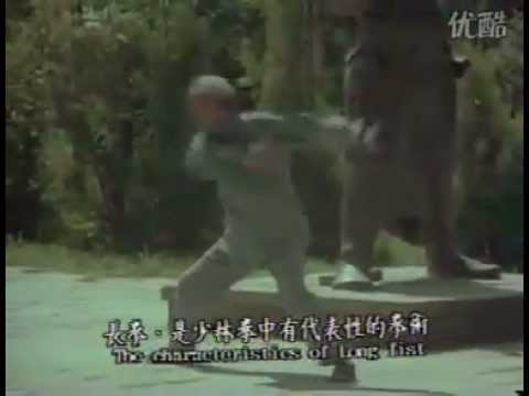 正宗少林长拳Taizu Chang Quan Yilu