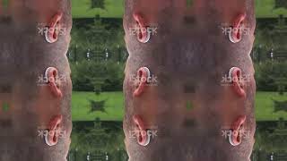 Top 10 Innovaciones Proyectadas Para 2024