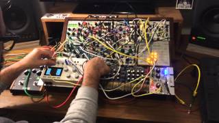 Monome Grid, Aleph & Eurorack patch w/ Cat (The Game of Life)