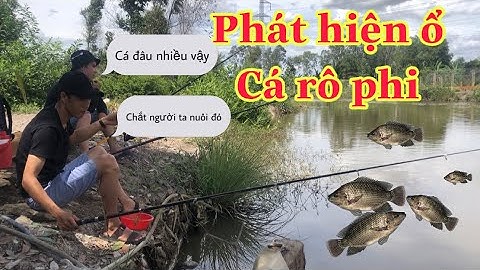 ĐIỂM CÂU CÁ THIÊN NHIÊN VEN SÀI GÒN / QUẬN BÌNH CHÁNH - FISHING | NVP TRAVEL