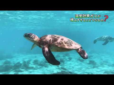 「カーボンニュートラル，地球温暖化について知ろう！」