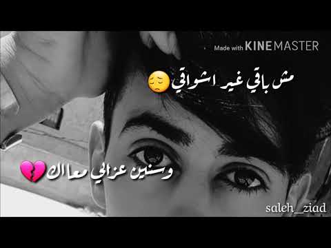 مش باقي غير اشواقي