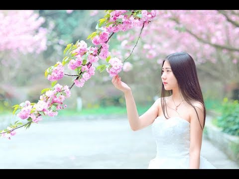 无言的结局 - 李茂山 & 林淑容 演唱