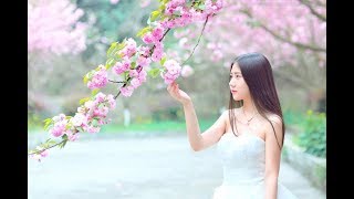 无言的结局 - 李茂山 & 林淑容 演唱