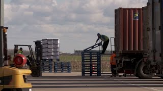 CHEP Bretts Managing Container Devanning