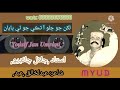 لکن جو ڇلا آ ٽڪي جو ڪيئن ڀايان سڄڻ نشاني آ سيني لڪايان آواز استاد جلال لکن جو ڇلا آ ٽڪي جو ڪيئن ڀايان سڄڻ نشاني آ سيني لڪايان آواز استاد جلال