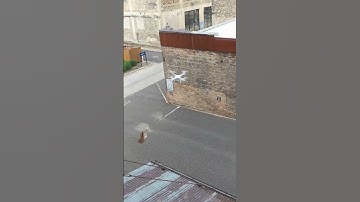 Drone Food Delivery Fail || ViralHog