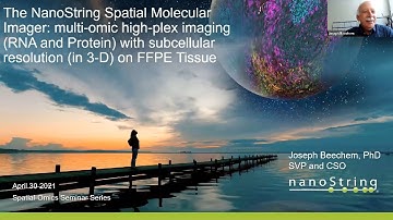The NanoString Spatial Molecular Imager: multi-omic high-plex imaging (RNA and Protein)