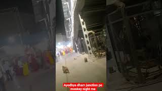 Ayodhya dham junction #monkey #ram ayenge#nigjt #railway #station ♥️♥️🥰🥰🐒🐒🐒🐒