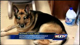 Woman's dying wish could mean dog is euthanized