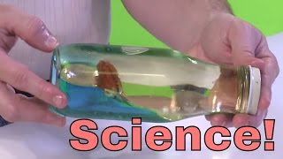 Make an DIY Ocean in a Bottle! - Science Experiment Easy and Fun!