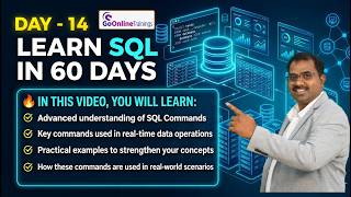 SQL Server   SQL Commands and Case Studies | LEARN SQL IN 60 DAYS | DAY 14
