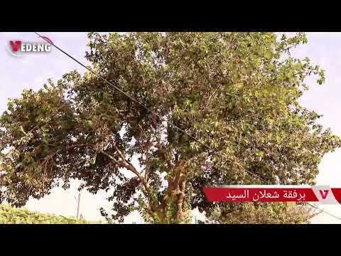 خانا سري قريبا في برنامج   يا رايح ع ضيعتنا