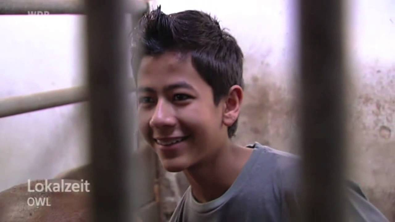 Ferien auf dem Birkenhof -- Folge 2