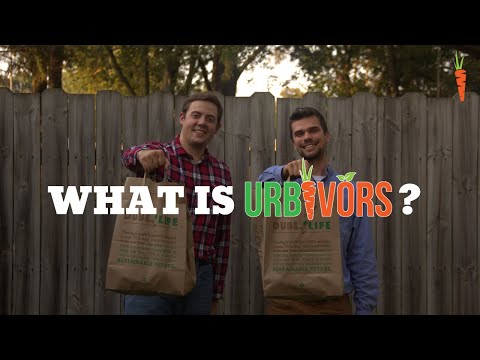 What Is Urbivors?