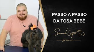 PASSO A PASSO DA TOSA BEBÊ DO SHIHTZU  SAMUEL CASTRO