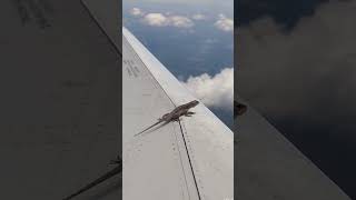 How can it do this?!! #viral #reels #airplane #wildmoment #iphone16