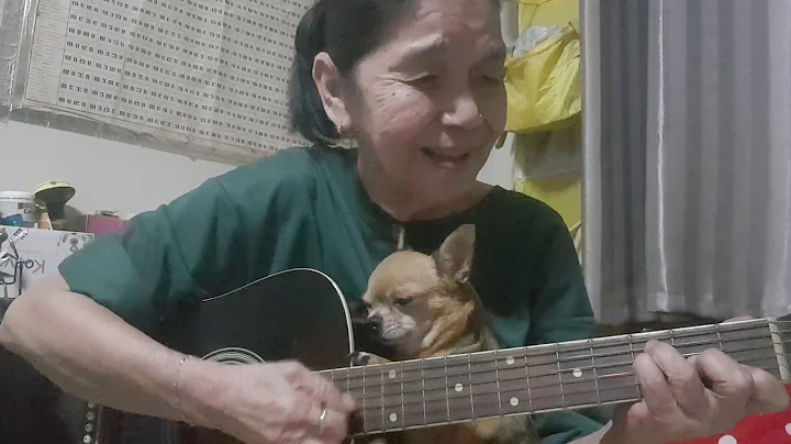You are my sunshine (cat singing dog sleeping)Cove...