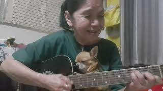You are my sunshine (cat singing dog sleeping)Cover by Malinda...