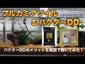 ブルカミアソイルとバクターDDで60センチ水槽立ち上げ