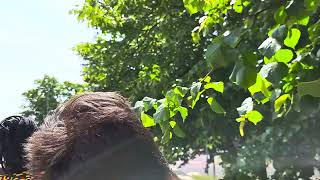 Hop on Hop Off Bus Tour in Liverpool. screenshot 5