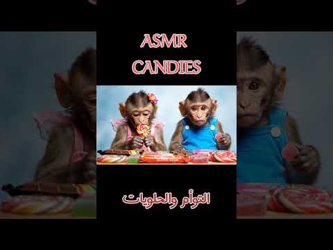 مين يحب الحلويات زي شوشه وشنب    