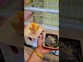 #update #fypシ゚viral #hilights #travel #fypシ #viralshort #trend #everyone #pastries #love #fun #life