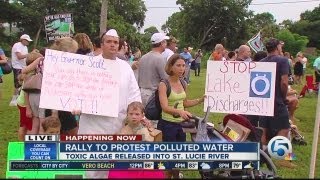 Rally protests algae bloom, pollution of St. Lucie river due to water dumping from Lake Okeechobee