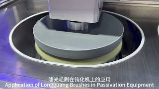 Big Disc Diamond Abrasive Brush for Cutting Tool Passivation