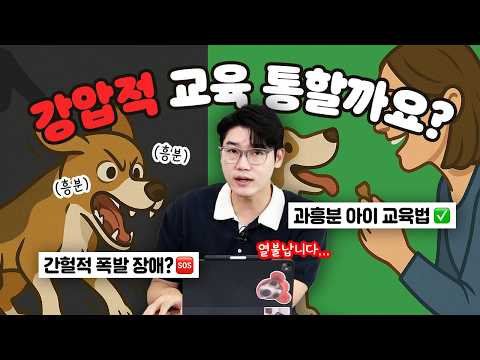 🚨과흥분🚨하는 강아지, 뇌의 문제일 수 있어요 🧠 | 설채현 행동학 수의사