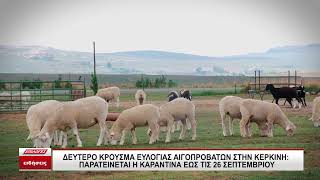 Δεύτερο κρούσμα ευλογιάς των αιγοπροβάτων στην Κερκίνη - Παρατείνεται η καραντίνα ως 26 Σεπτεμβρίου