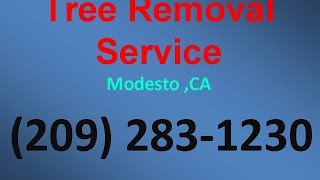 Tree Removal Service Modesto ,CA | (209) 283-1230 | Low cost tree removal service company