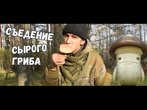 Съедение сырого гриба