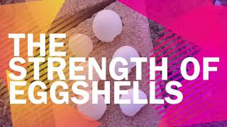 The Strength of Eggshells By: Ashton Wise