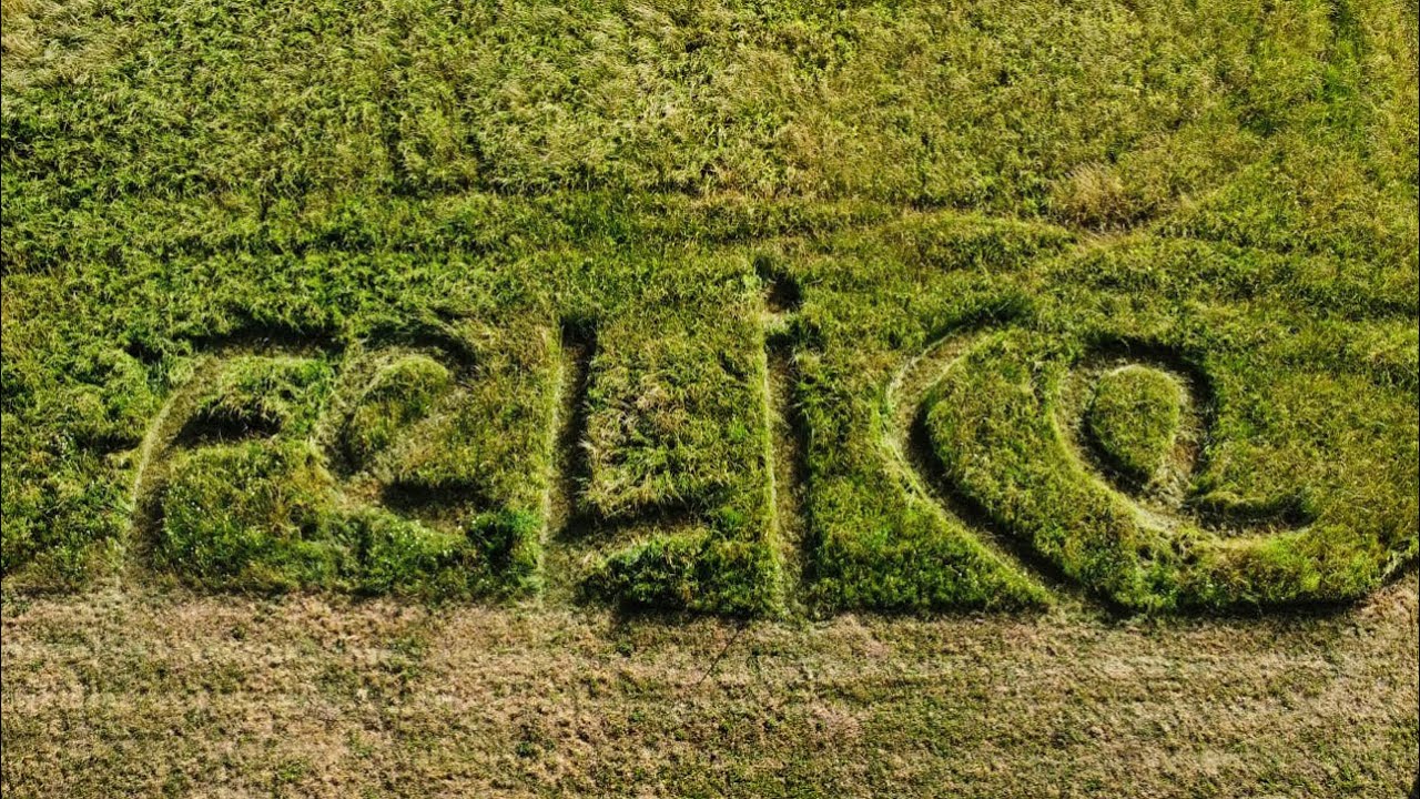 Mira Nevio Passaro - Felice (Official Music Video) en YouTube Mira Nevio Passaro - Felice (Official Music Video) en YouTube