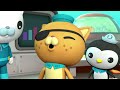 Octonauts Kwazii Is Depressed When He Has No Food 