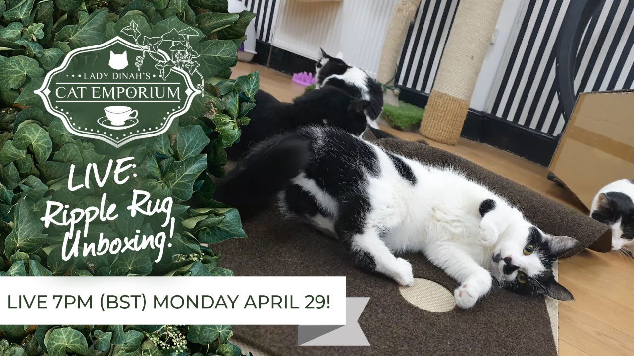 LIVE: Unboxing our new Ripple Rug