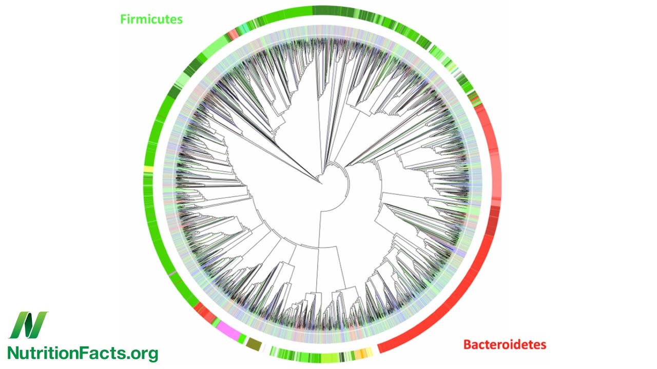 Microbiome: The Inside Story