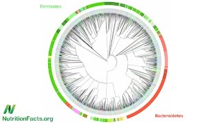 Microbiome: The Inside Story