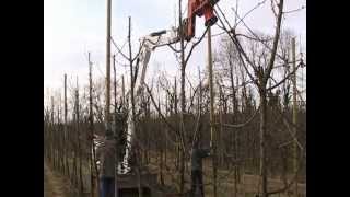 Voen - Installation Wooden Poles Holzpfosten Postes De Madera