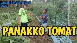 LAWAK BATAK TERBARU 2021 || PANAKKO TOMAT, Festival Humor Batak by Sibaragas Channel, FHB-03