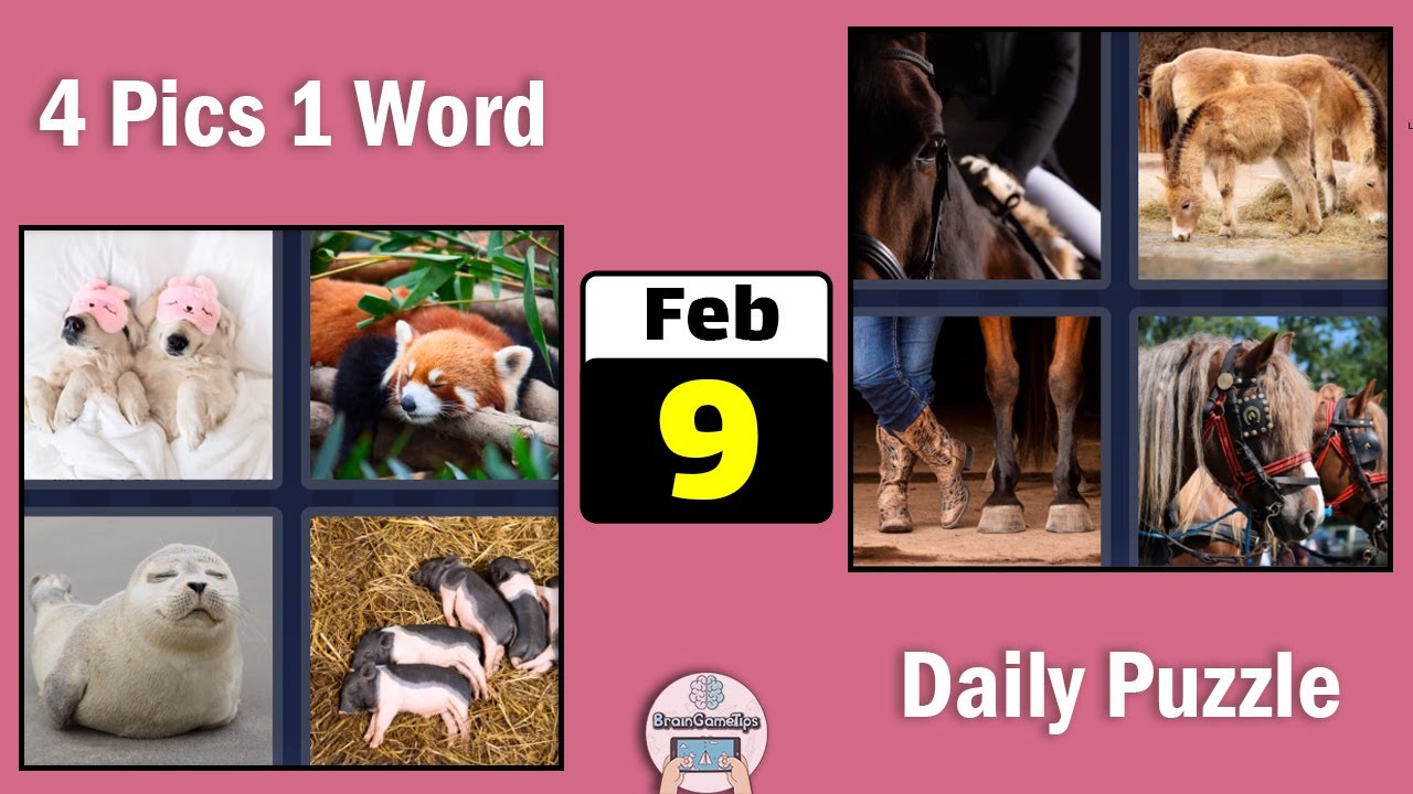 4 Pics 1 Word - Daily Puzzle February 9 2022 Answer
