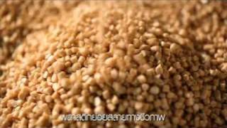 Our Success Story: ECO Solution by SCG Chemicals
