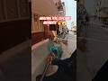 Gojo Single Dog Catch Ak #shorts #ytviral #streetdogrevival #pets #abc #amazing