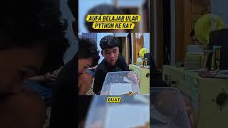 AUFA BELAJAR ULAR DARI RAY