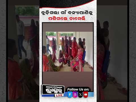 ବନ୍ୟା ପାଣିରେ ବୁଡ଼ିଗଲା ଚାମେଲୀଙ୍କ ଗାଁ... #ytshorts #shortsvideo #FloodRescue  #chameliojha #kendrapada