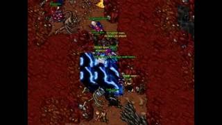 Tibia War Roachost - Vision Team