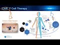 Webinar natasha sheybani p focused ultrasound for gene therapy