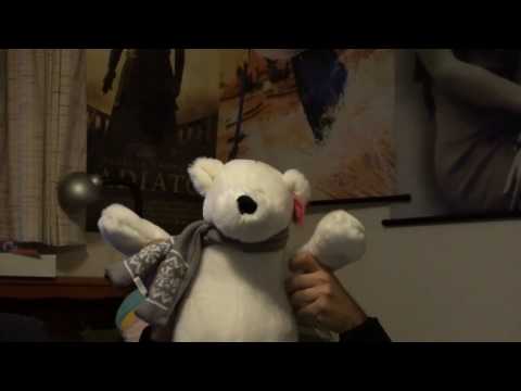 ICEE The Bear